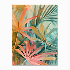 Tropical Palm Leaves Canvas Print