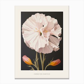 Flower Illustration Carnation Dianthus 5 Poster Canvas Print