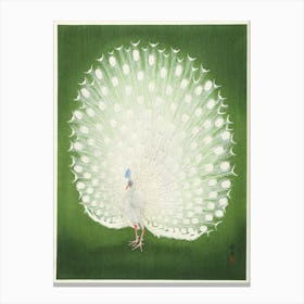 Peacock (1925 1936), Ohara Koson Canvas Print