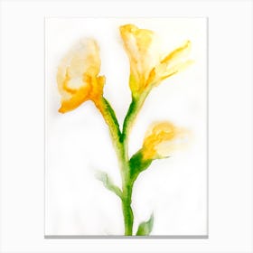 Watercolor Lilies Canvas Print