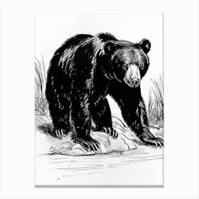 Malayan Sun Bear Standing On A Riverbank Ink Illustration 2 Canvas Print