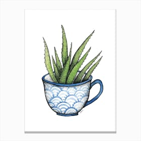 Succulent In A Blue Cup Canvas Print