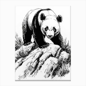 Giant Panda Walking On A Mountain Ink Illustration 3 Canvas Print
