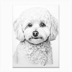 Bichon Frise Dog, Line Drawing 1 Canvas Print