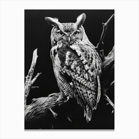 African Scops Owl Charcoal Drawing 2 Canvas Print