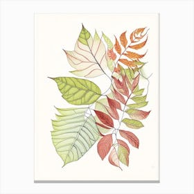 Leaf Pattern 1 Canvas Print