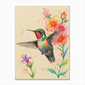 Hummingbird 25 Canvas Print