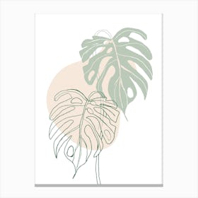 Monstera Leaves Canvas Print