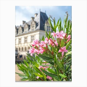 Pink oleander flowers at Chateaux de Villandry a castle in France - summer travel photography by Christa Stroo Photography Canvas Print