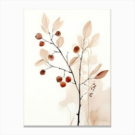 Apricots 3 Canvas Print