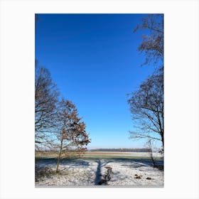 Snowy Field With Trees Canvas Print