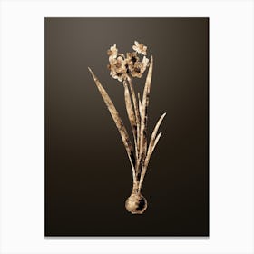 Gold Botanical Daffodil on Chocolate Brown n.4047 Canvas Print