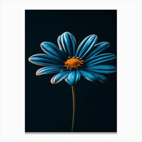 Blue Daisy Canvas Print