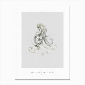 Boho Ocean 2 Octopus Canvas Print