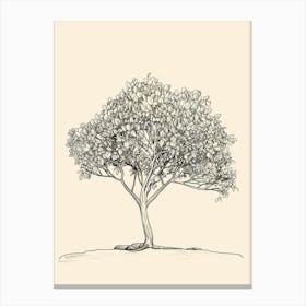 Walnut Tree Minimalistic Drawing 4 Canvas Print