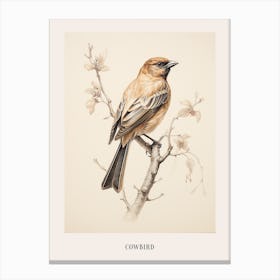 Vintage Bird Drawing Cowbird 1 Poster Canvas Print