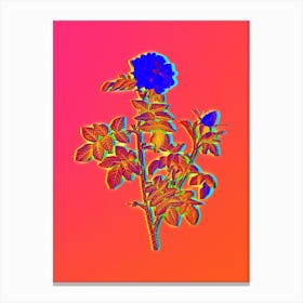Neon Pink Rosebush Botanical in Hot Pink and Electric Blue n.0342 Canvas Print