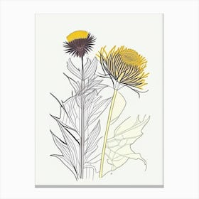 Elecampane Spices And Herbs Minimal Line Drawing 1 Canvas Print