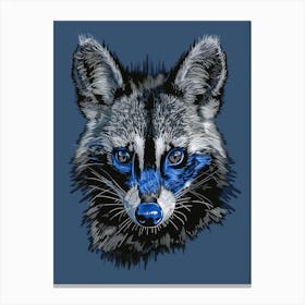 Raccoon 1 Canvas Print