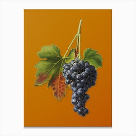 Vintage Raisin Grape Botanical on Sunset Orange n.0280 Canvas Print