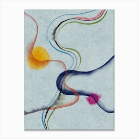 Flows Canvas Print