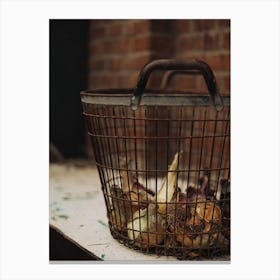 Basket Of Onions Canvas Print