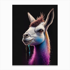 Llama Funny Animal Canvas Print