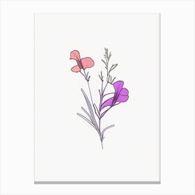 Nemesia Floral Minimal Line Drawing 4 Flower Canvas Print