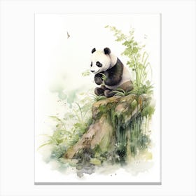 Panda Art Birdwatching Watercolour 2 Canvas Print