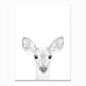 Deer Animal Print Canvas Print