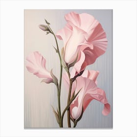 Floral Illustration Sweet Pea 3 Canvas Print