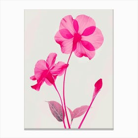 Hot Pink Impatiens 2 Canvas Print