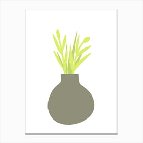 Plant In A Vase 2 Canvas Print