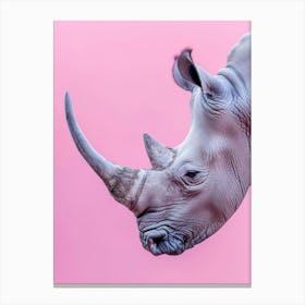 Rhino On Pink Background 4 Canvas Print