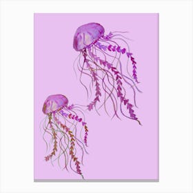 Two Jellyfish Canvas Print