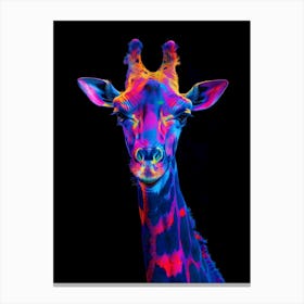 Colorful Giraffe Canvas Print