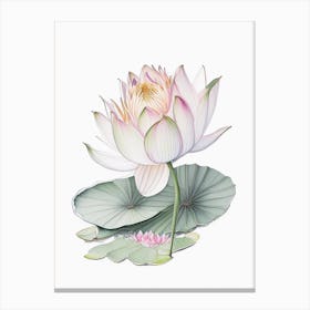 Water Lily Floral Quentin Blake Inspired Illustration 2 Flower Canvas Print