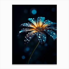 Water Droplets On A Flower 1 Canvas Print
