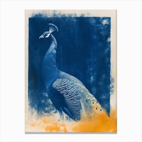 Blue & Orange Vintage Peacock Profile Portrait Canvas Print