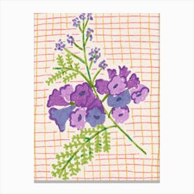 Jacaranda Flowers Canvas Print