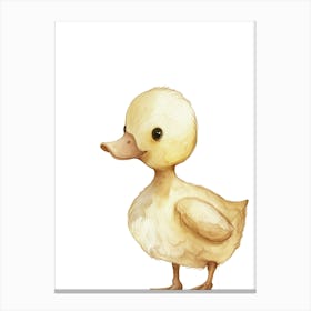 Duckling Canvas Print