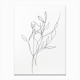 Wire Drawing Canvas Print