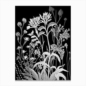 Thimbleweed Wildflower Linocut Canvas Print