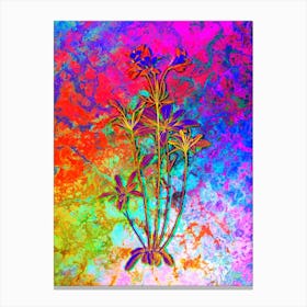 Lily of the Incas Botanical in Acid Neon Pink Green and Blue n.0106 Canvas Print