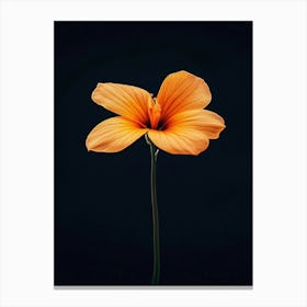 Single Orange Flower 5 Canvas Print