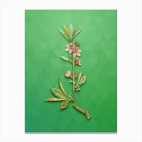 Vintage Pink Flower Branch Botanical Art on Classic Green n.1399 Canvas Print