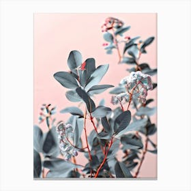 Eucalyptus 7 Canvas Print