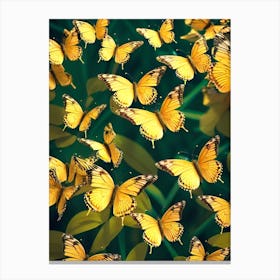 Yellow Butterflies 5 Canvas Print