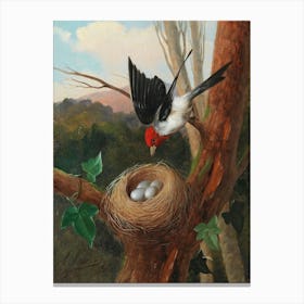 Vintage Bird In Nest Canvas Print