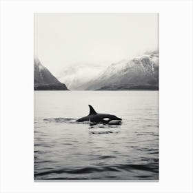 Vintage Black And White Orca Whale Photography Canvas Print